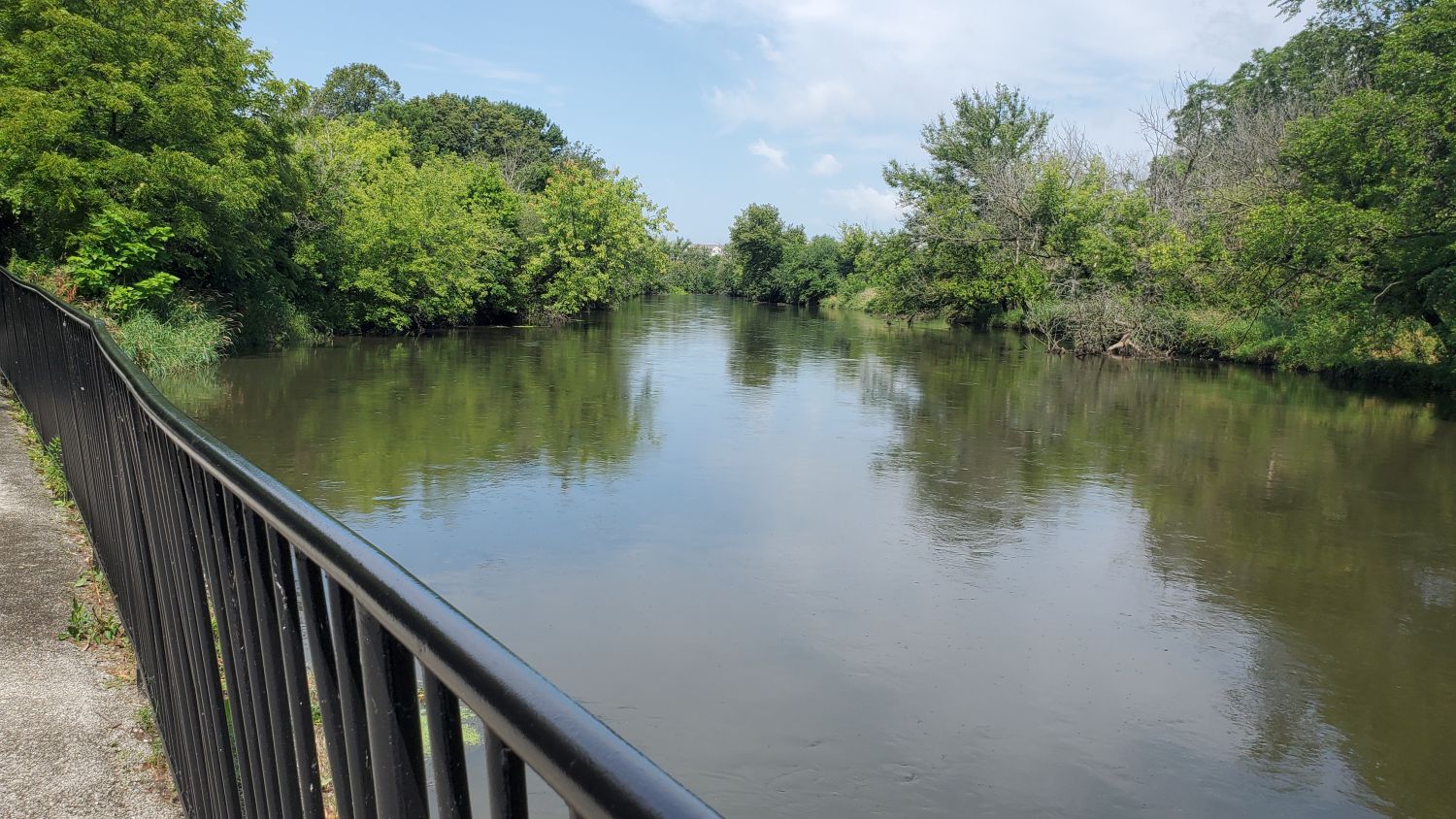 McDowell Grove Forest Preserve 